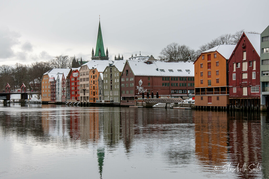 Along the Nidelva by elisasaeter