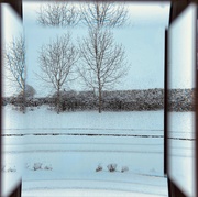 9th Mar 2023 - Wintery view