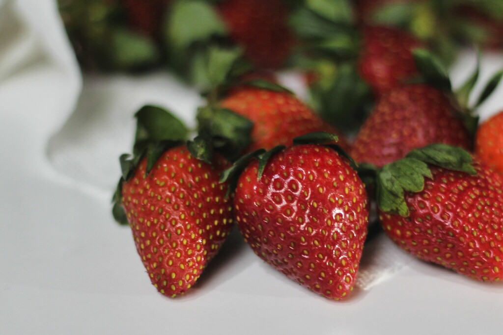 Strawberries by judyc57