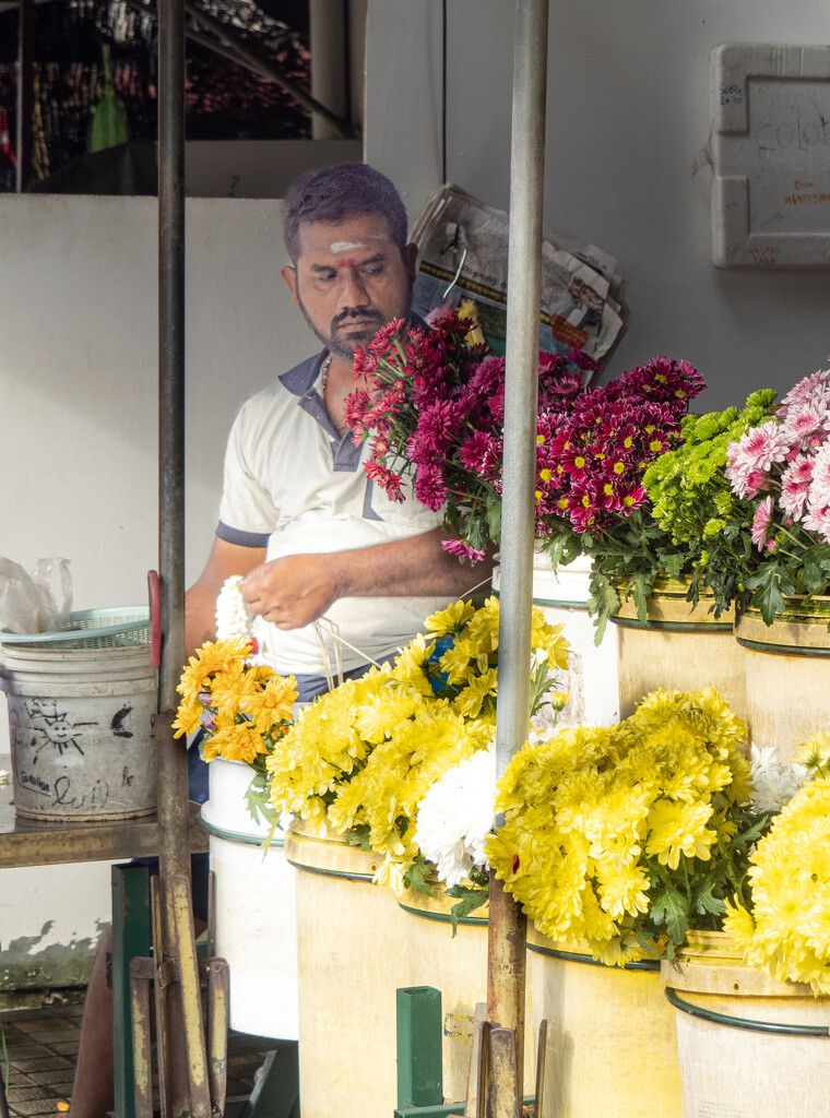 Indian Flower Seller by ianjb21