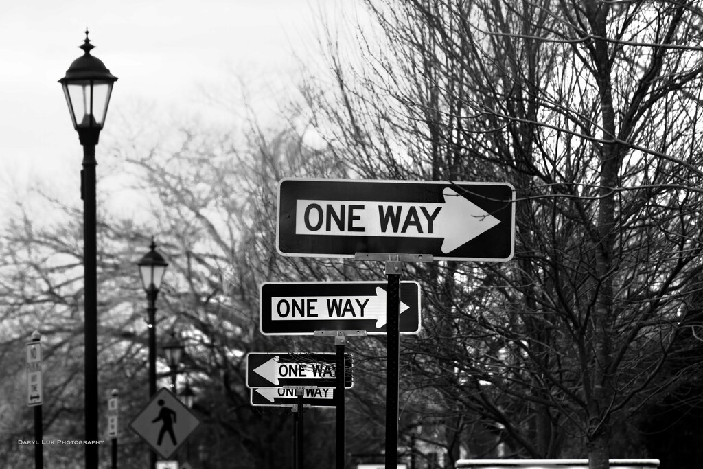 D68 Which way to go? by darylluk