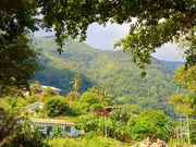 10th Mar 2023 - In the hills of Mahe