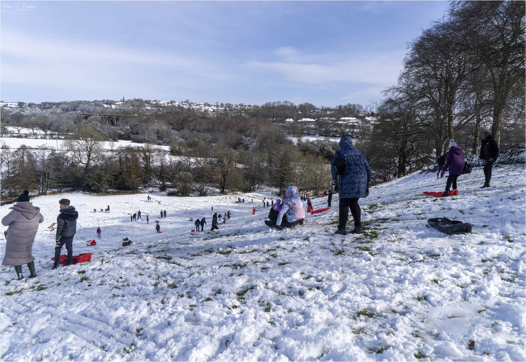 Sledging by pcoulson