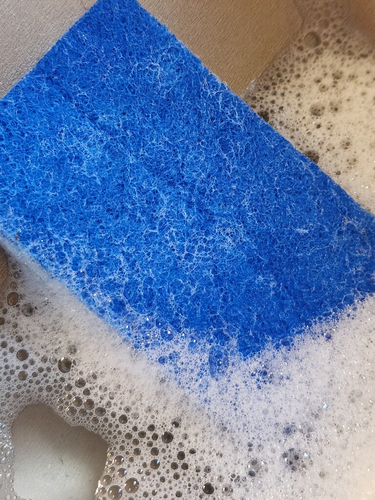 Dish Sponge of Blue  by jo38
