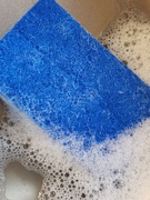 10th Mar 2023 - Dish Sponge of Blue 