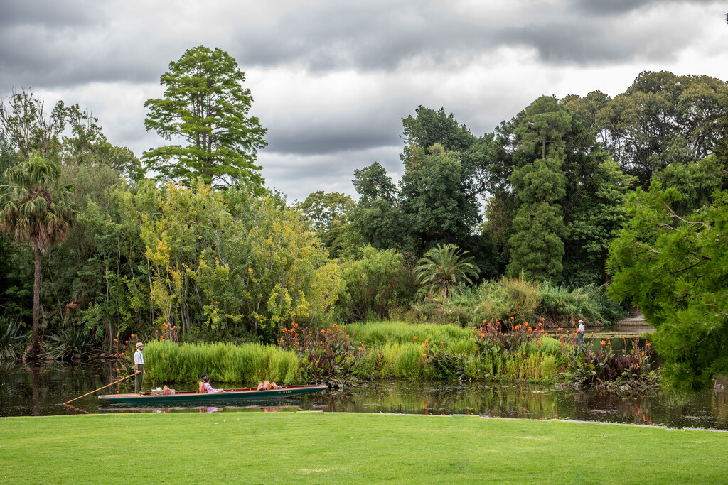 Melbourne's Royal  Botanic Gardens by kwind