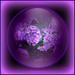 The crystal ball. by beryl