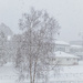 Still snowing :-) by helstor365
