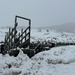 Respite from work at winter’s end