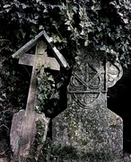 10th Mar 2023 - From my local churchyard