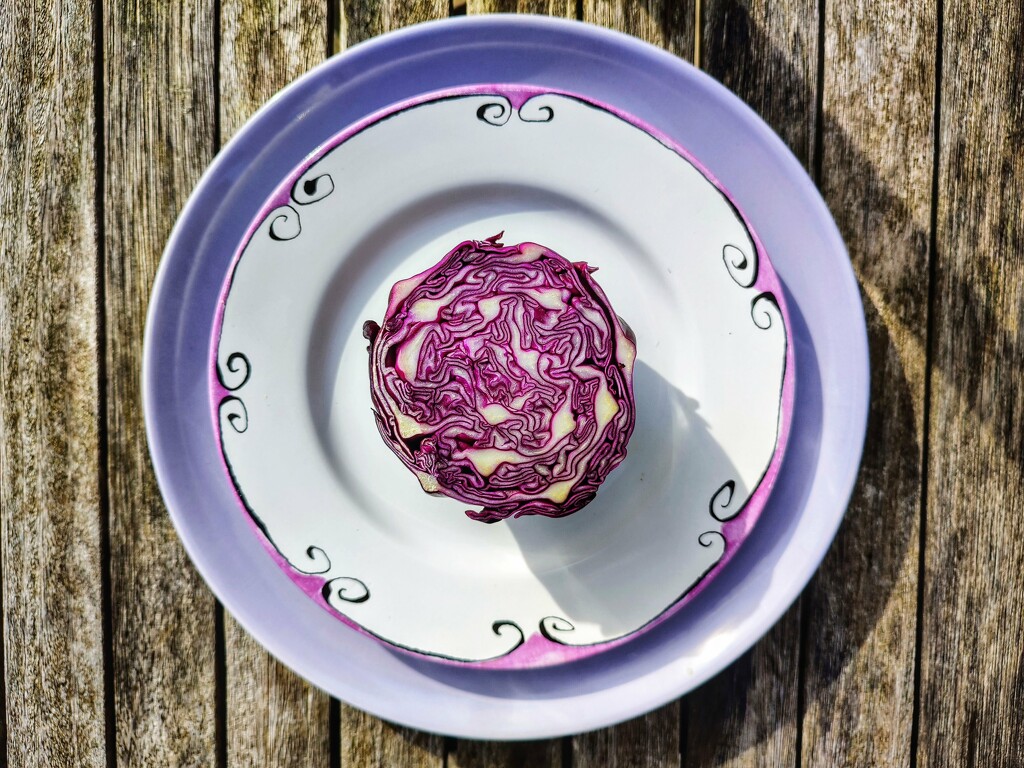 Cabbage cross-section by boxplayer