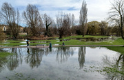 11th Mar 2023 - Floods in the park