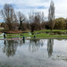 Floods in the park