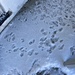 More Snow, More Tracks  by spanishliz