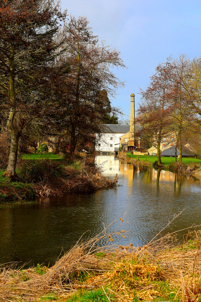 Up stream from Stotfold Mill by neil_ge
