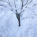 Then the Snow by juliedduncan