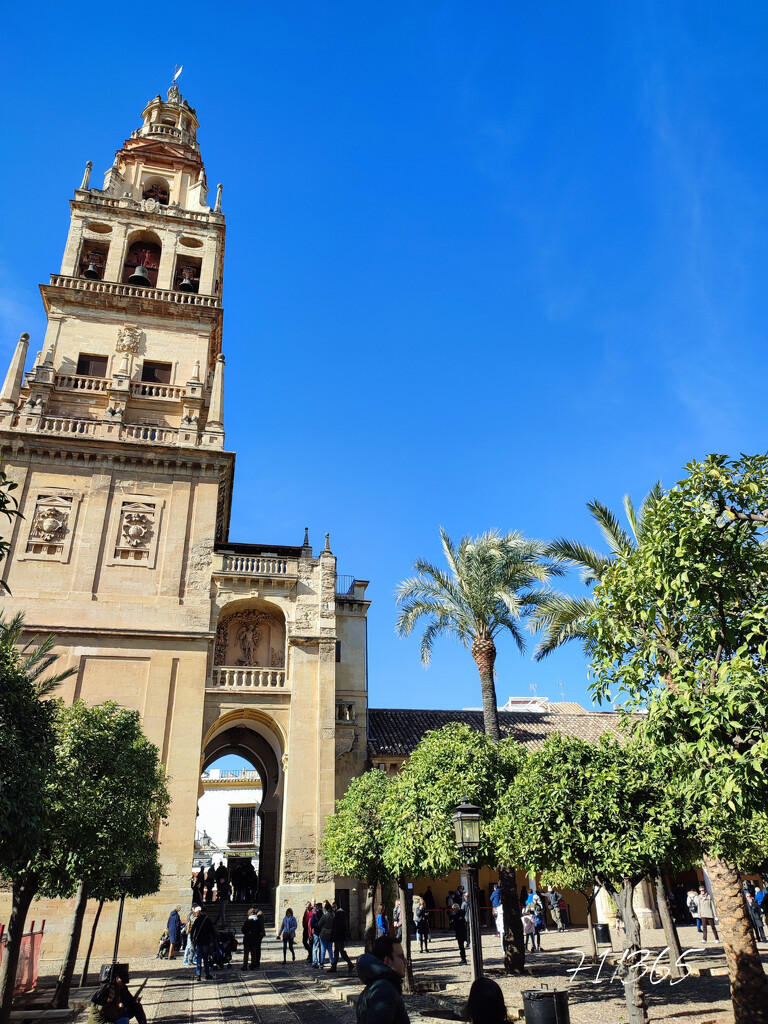 Bell Tower (Córdoba Cathedral) by franbalsera