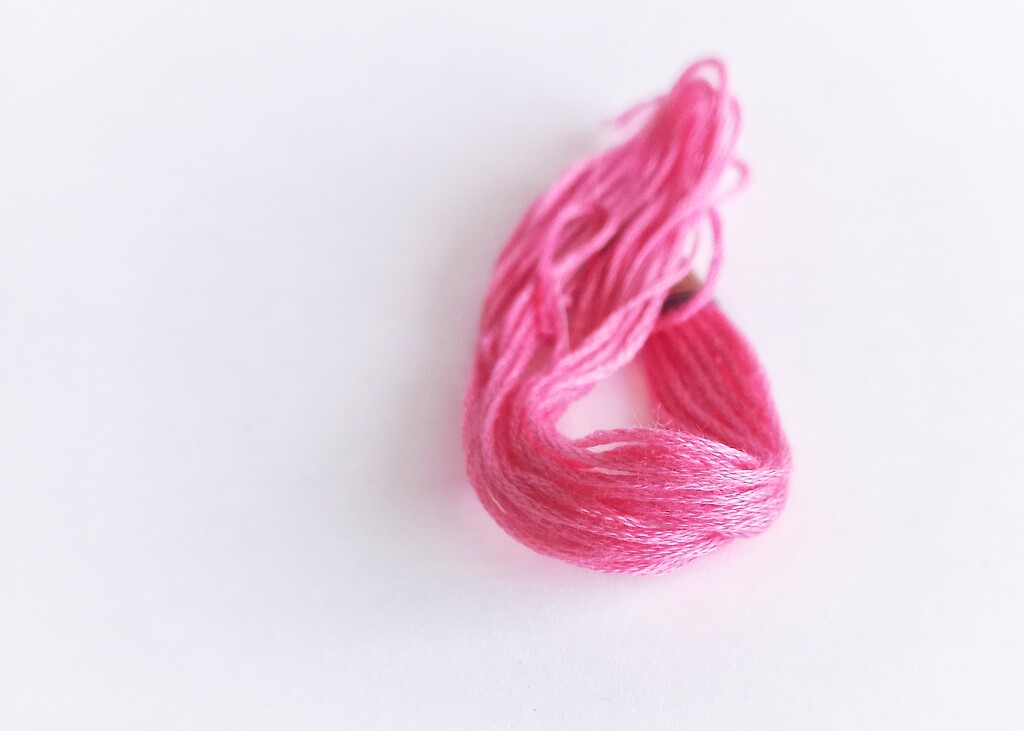 Pink Cotton  by salza