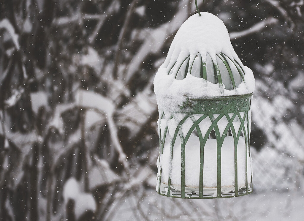 Snowy Cage Feeder by gardencat