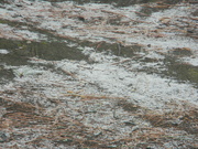 12th Mar 2023 - Snow on Ground