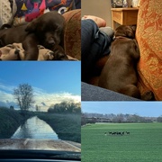 10th Mar 2023 - Cuddles and nature