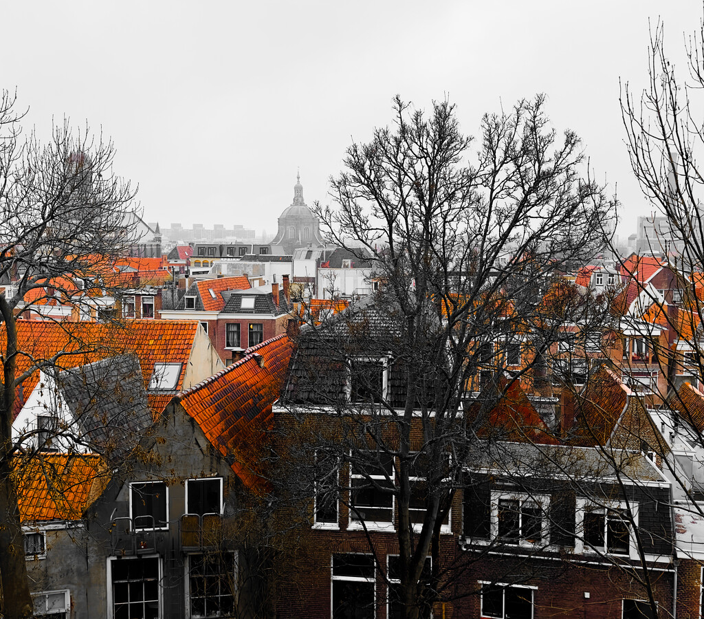Red tile on rooftops look orange by cristinaledesma33