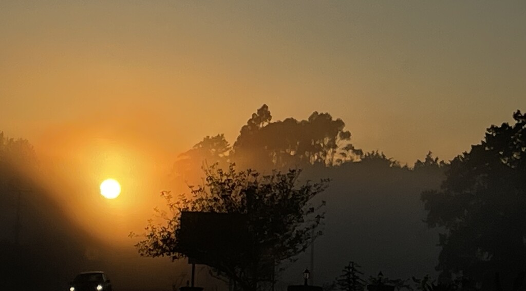 A misty sunrise by Dawn