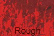 13th Mar 2023 - Rough