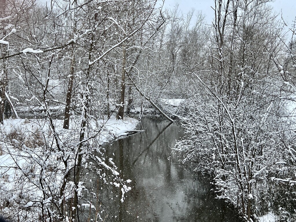 still winter… by amyk