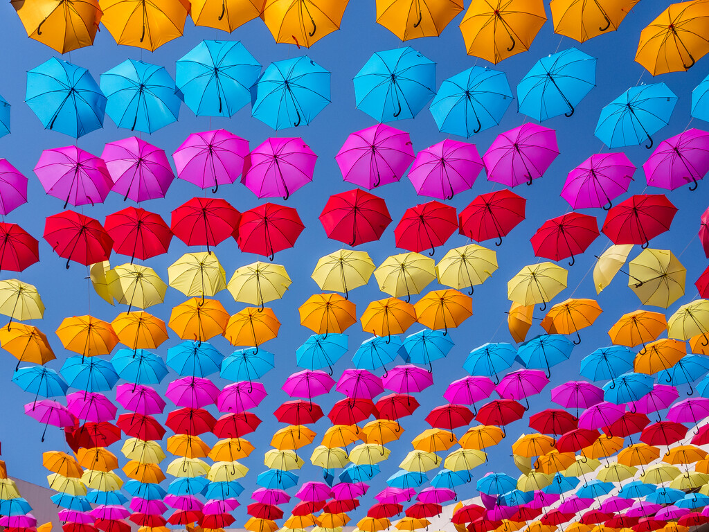 Umbrella Sky by cdcook48