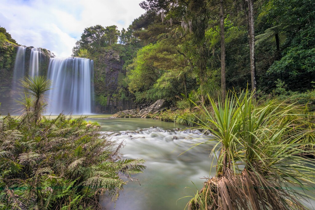 Whangarei Falls by creative_shots