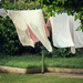 washing day by ulla