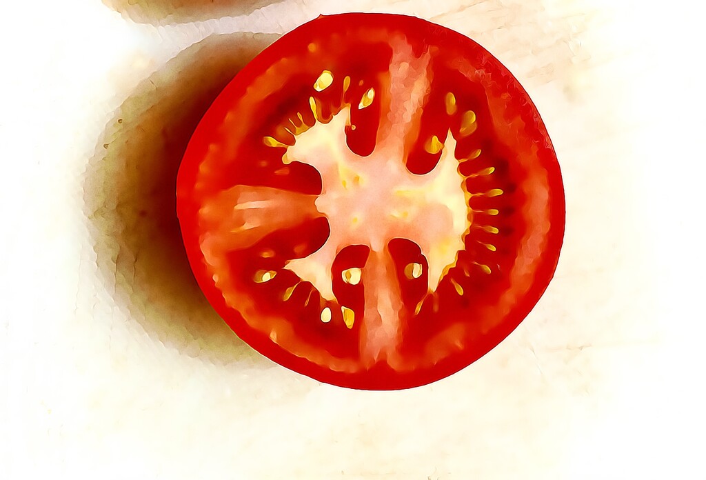 tomato by maggiemae