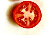 13th Mar 2023 - tomato