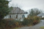 13th Mar 2023 - impressionist rain