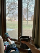 13th Mar 2023 - Coffee, Brace, and a View