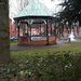 Hellebores and bandstand