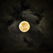 Let the Moon Shine! by kareenking
