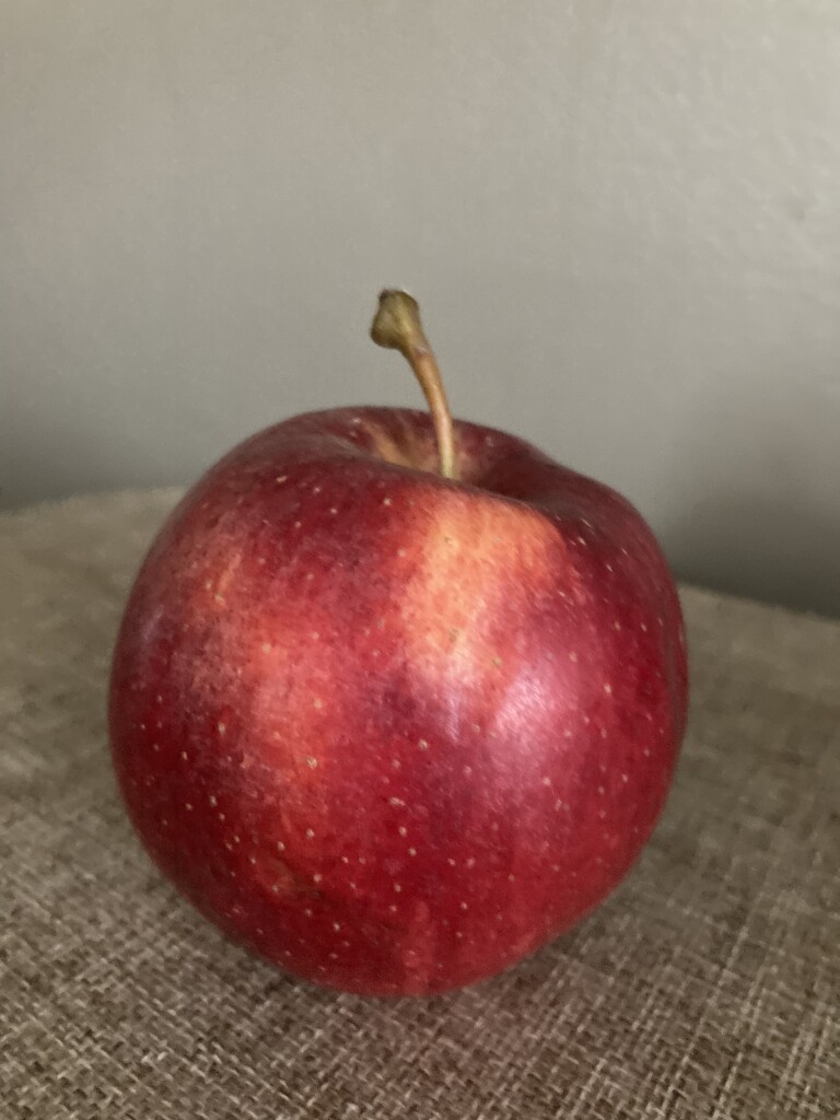 Red Apple  by spanishliz