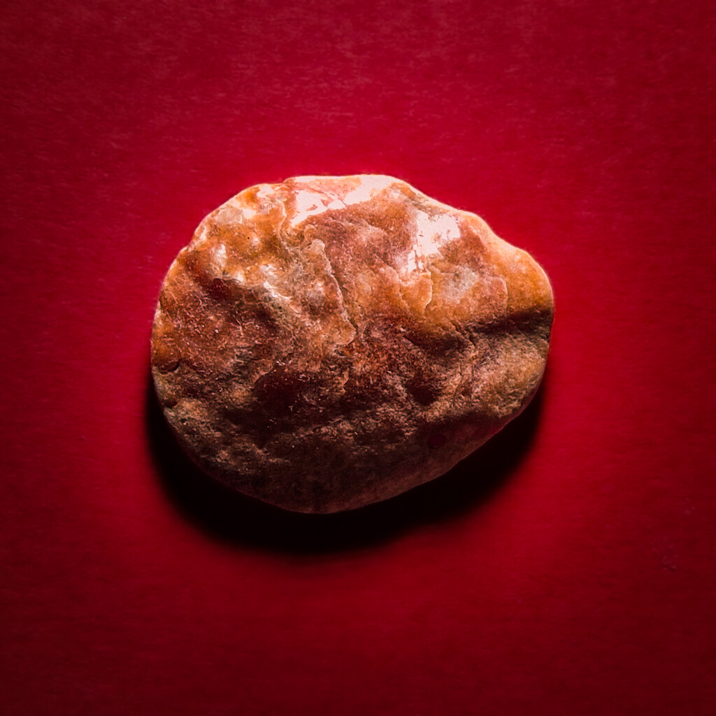 Shell on red by andyharrisonphotos