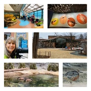 12th Mar 2023 - National Zoo Bird House