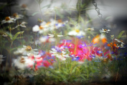 14th Mar 2023 - Multiple exposure: Hanging basket