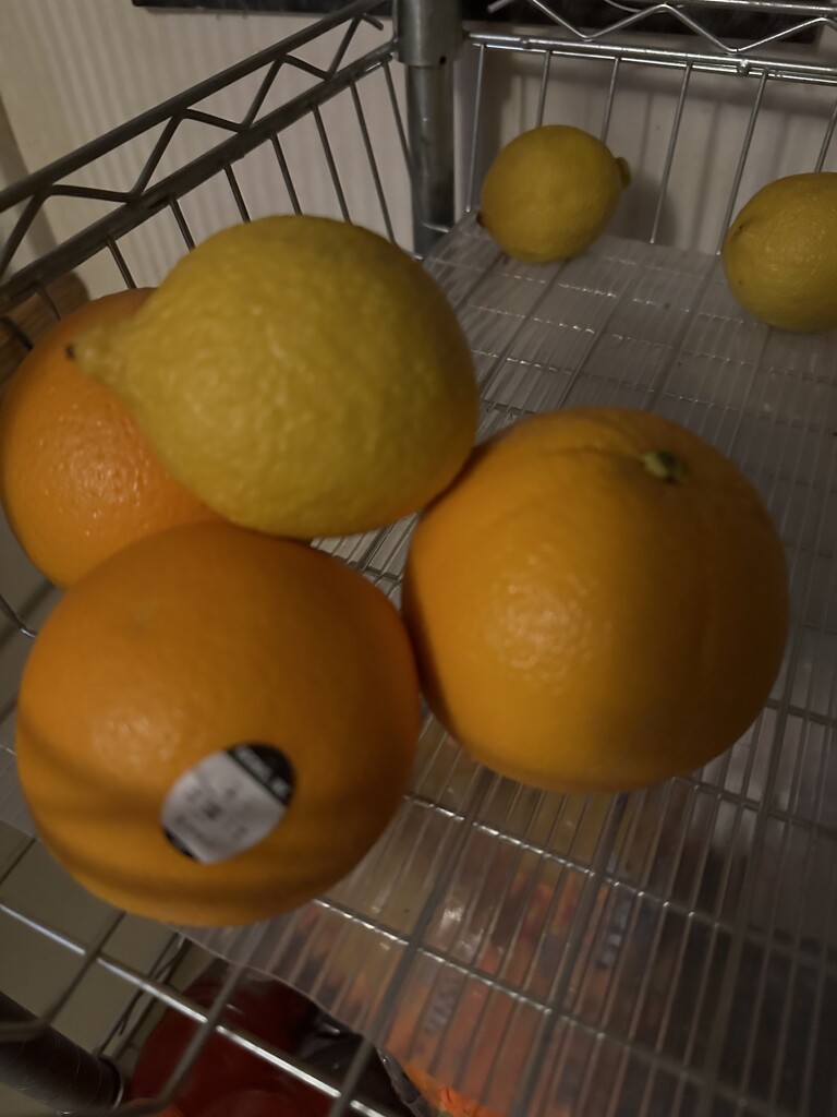 Oranges by pandorasecho
