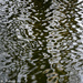 Winter Pond Abstract