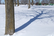 14th Mar 2023 - Shadow on fresh snow