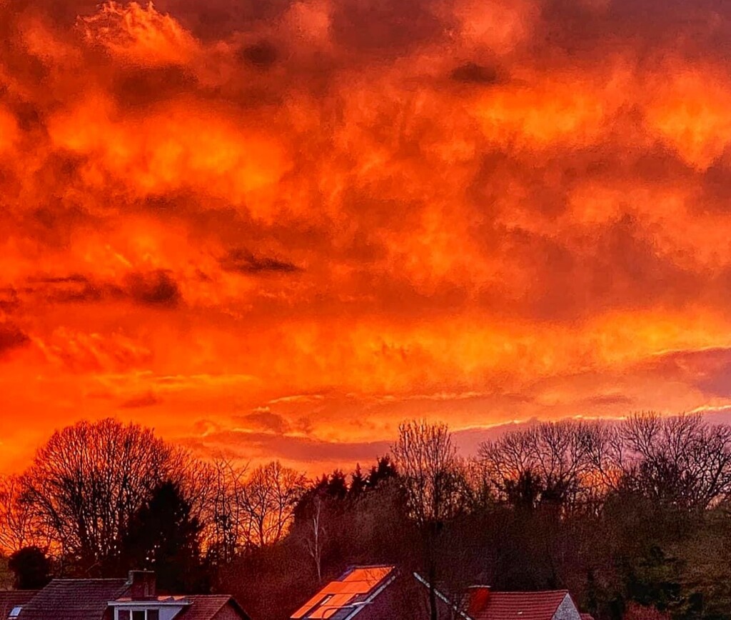 The sky was on fire, amazing to see by tstb13
