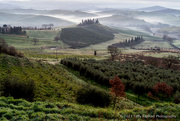 7th Mar 2023 - Fog Lifts in the Tuscan Countryside