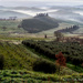 Fog Lifts in the Tuscan Countryside