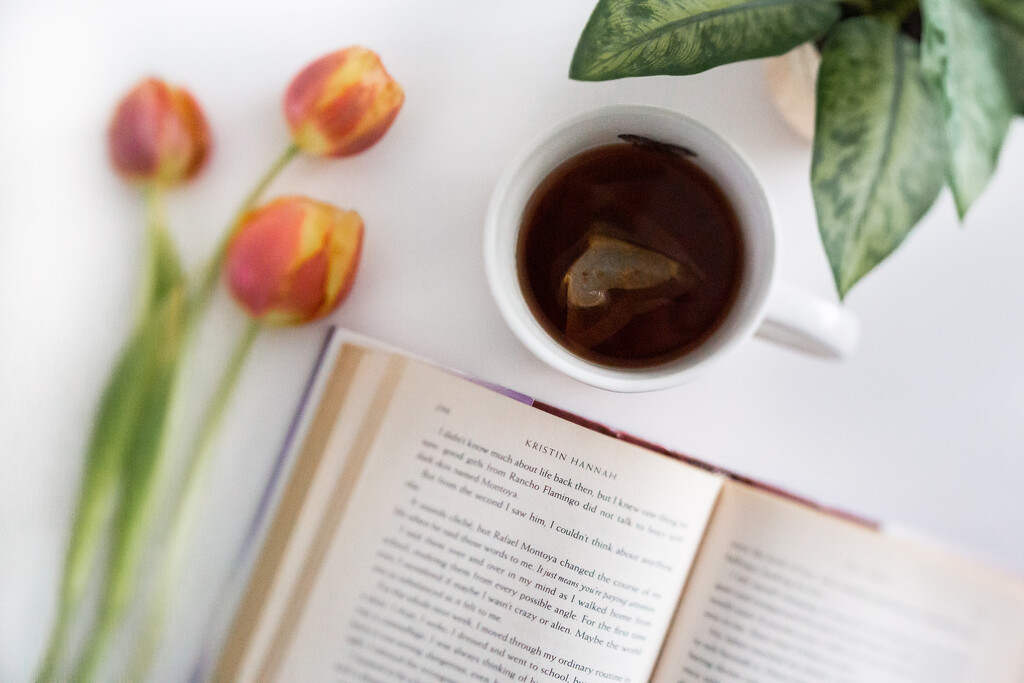 Reading and Tea by tina_mac