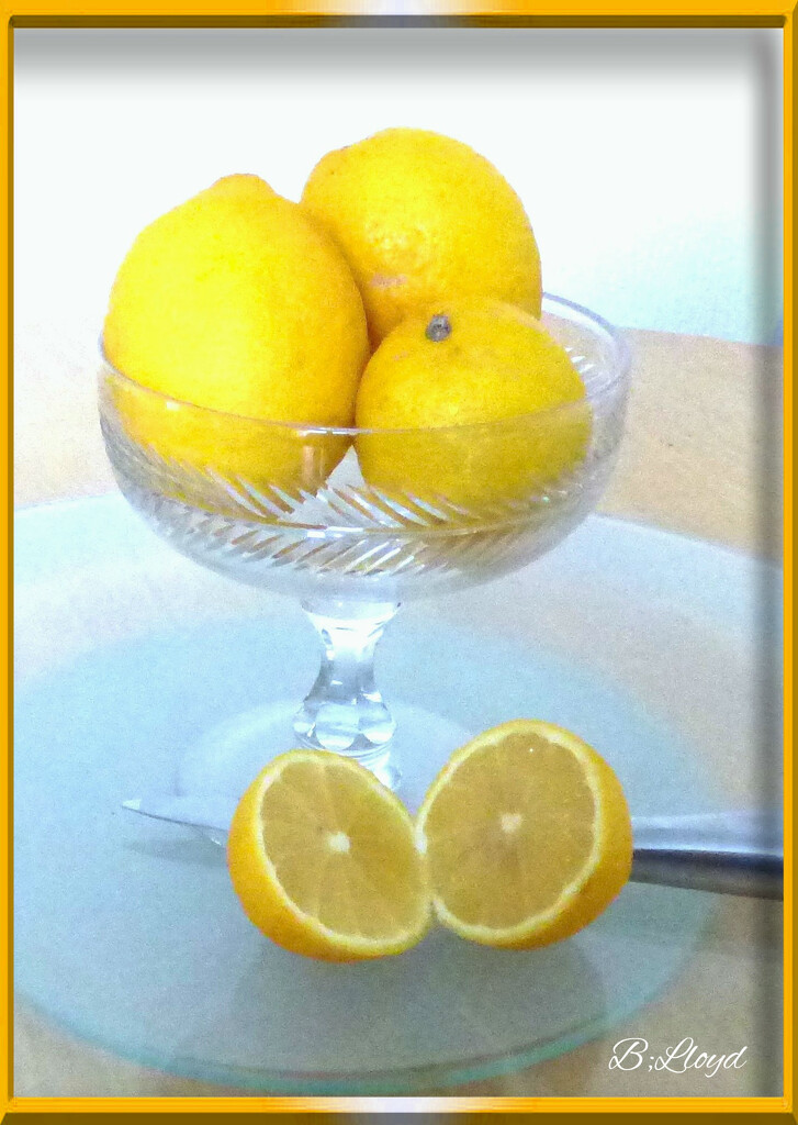 Lemons  by beryl